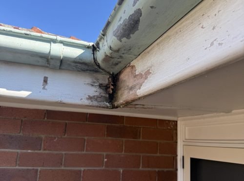 Painting peeling of from Gutters and Fascia